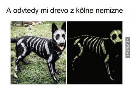  To je nápad! 