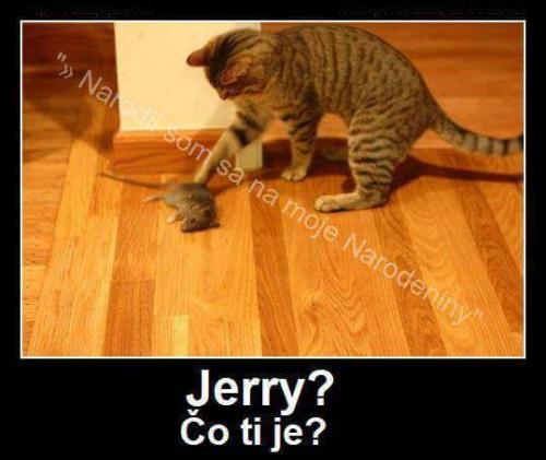  Jerry?! 