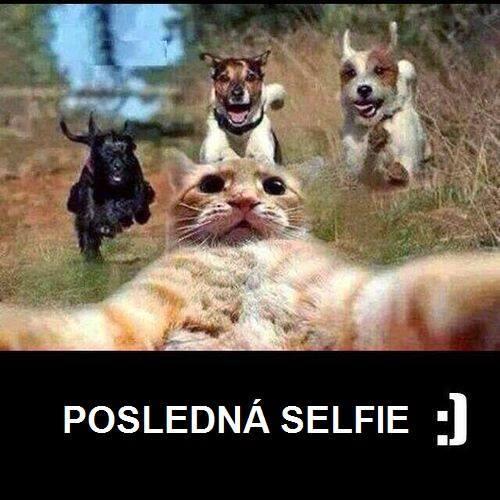  Poslední selfie 