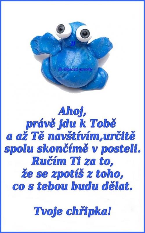  Návštěva 