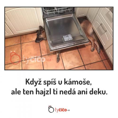  Díky kámo 