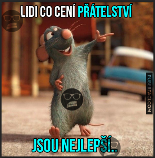  Přátelství 