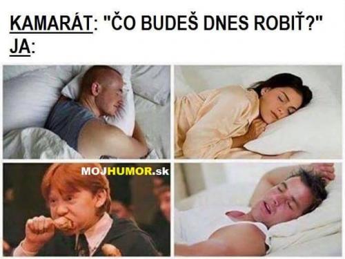  Co budeš dneska dělat? 