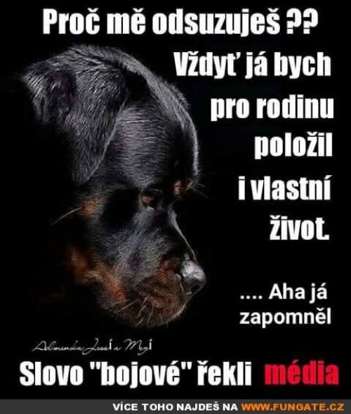  Proč mě odsuzuješ 