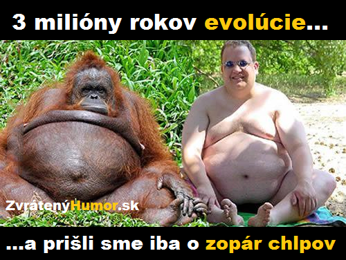 Evoluce