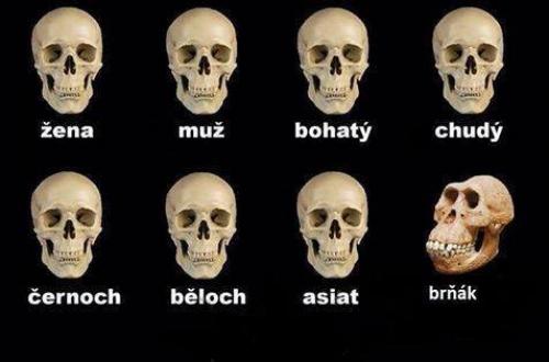 Brňák