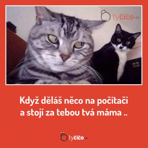 Na komplu