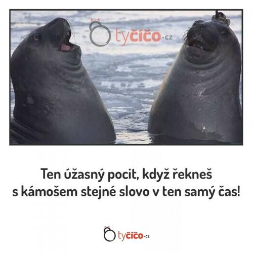 Eeej bro