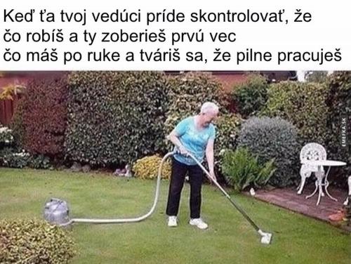 Pilně pracuju