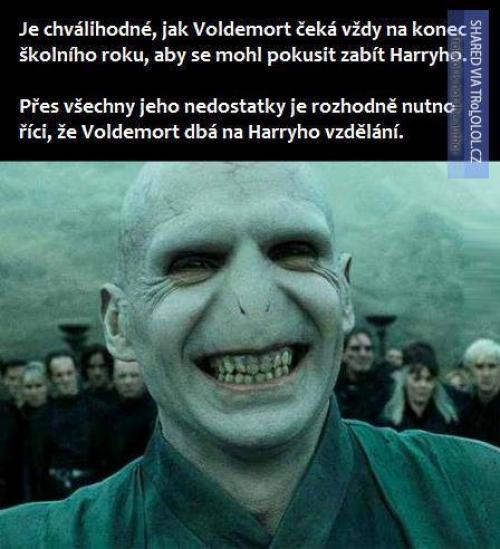  Voldemort je vlastně dobrák 