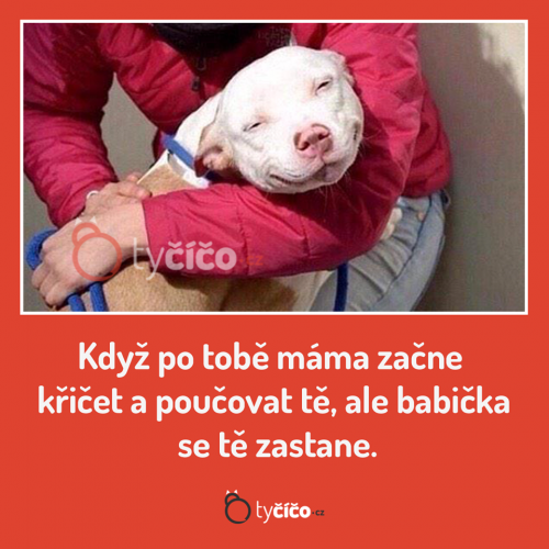  Babička 