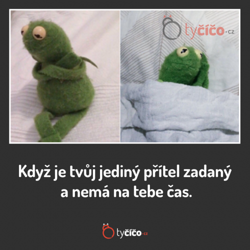 Zrádce