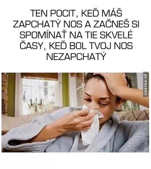  To bylo léto 