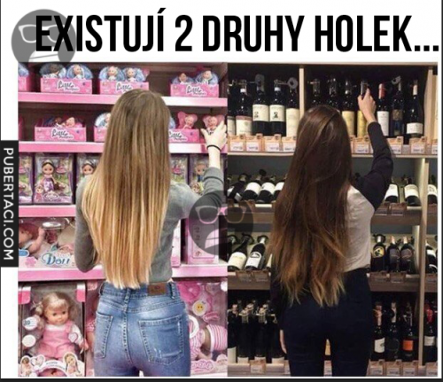  2 druhy holek 