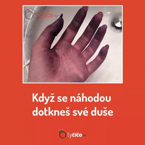  Duše 