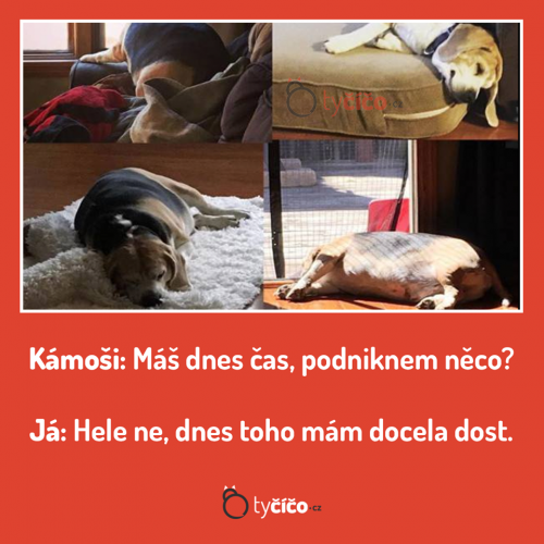  Dneska toho mám dost 