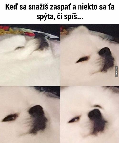  Spánek 