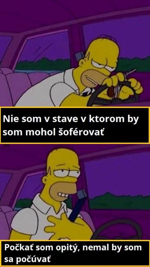  Mozek Homera Simpsona 