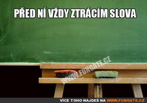  Před ní vždy ztrácím slova 