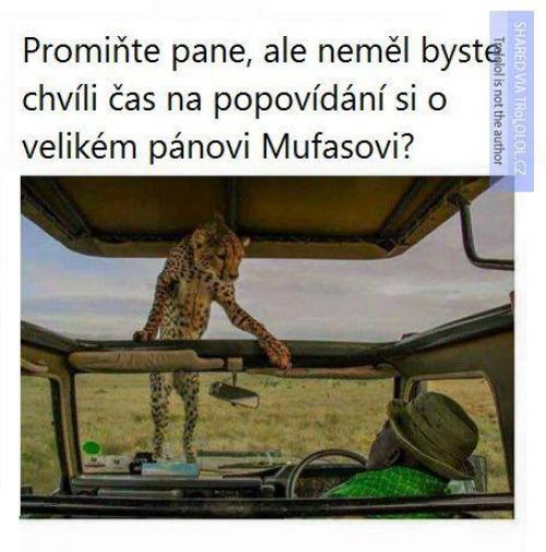 Mufasa