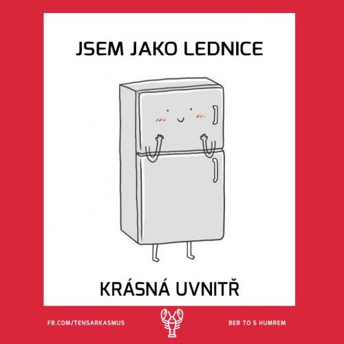  Jsem jako lednice 