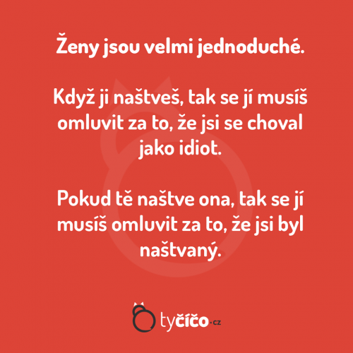  Ženy jsou prostě easy 