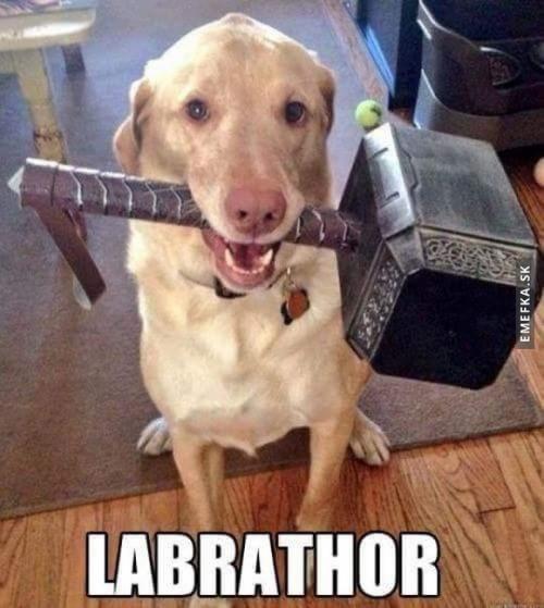 Labrathor