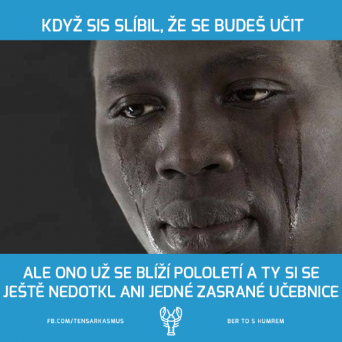  Kdo se v tom vidí 