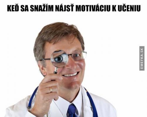  Motivace 