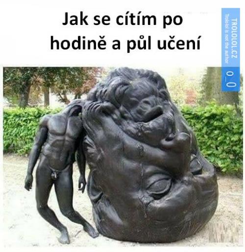  Učení 