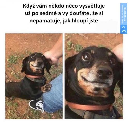  Vysvětlení 