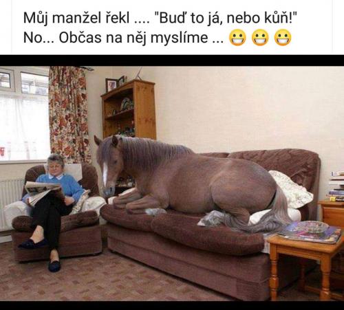  Manžel 