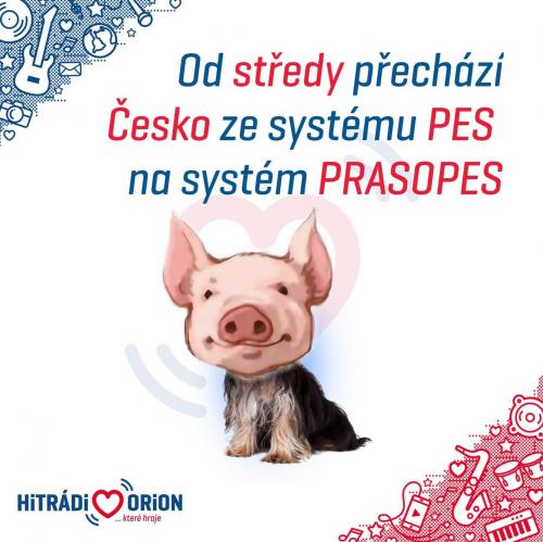 Prasopes