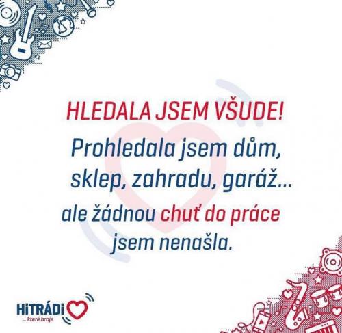  Hledala jsem všude 