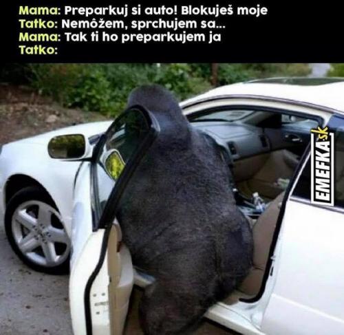 Přeparkuji