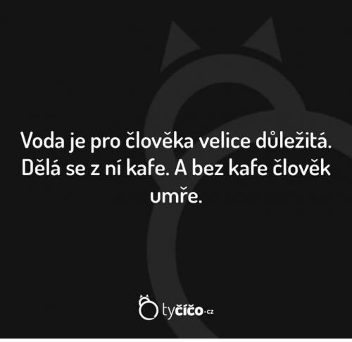  Důležité 