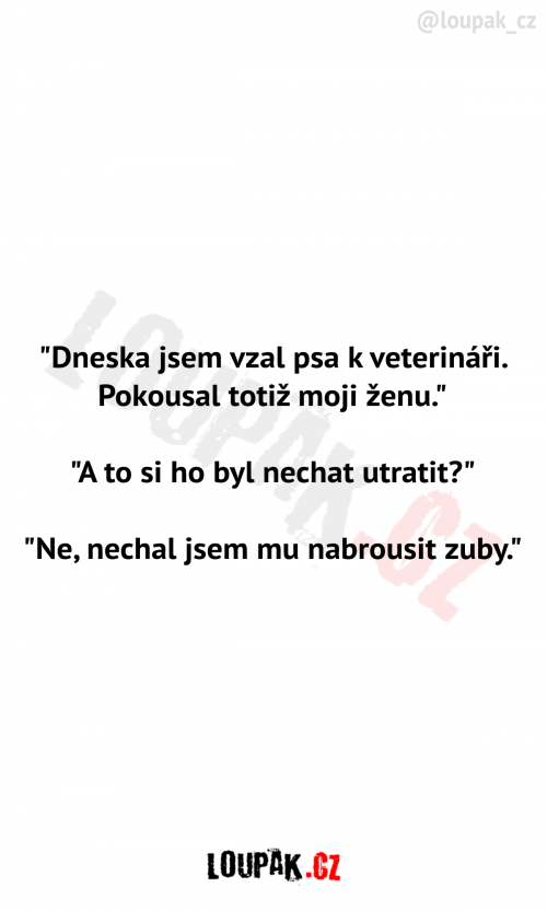  Jak dopadl pes u veterináře 