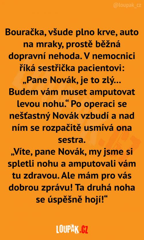  ''Nadšený'' pan Novák 
