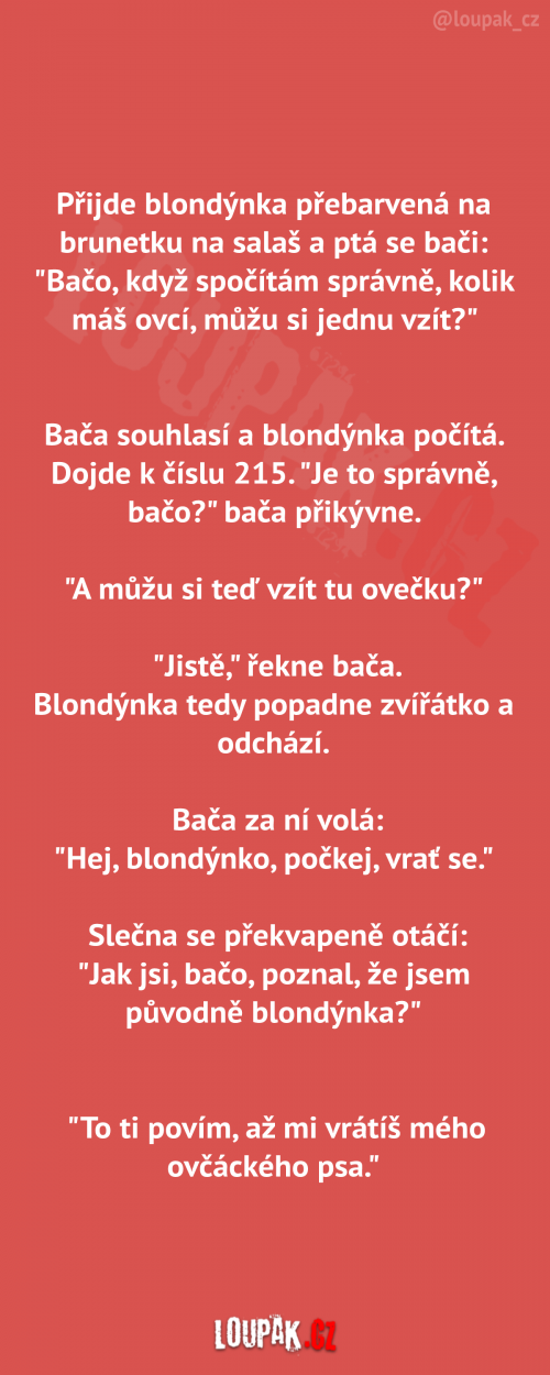  Přijde blondýnka přebarvená na brunetu 