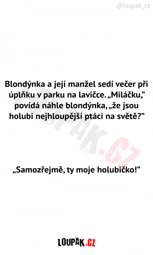  Blondýnka s manželem v parku 