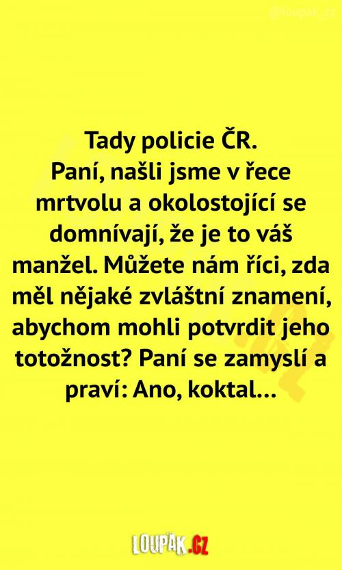  Policie ČR se ptá ženy 