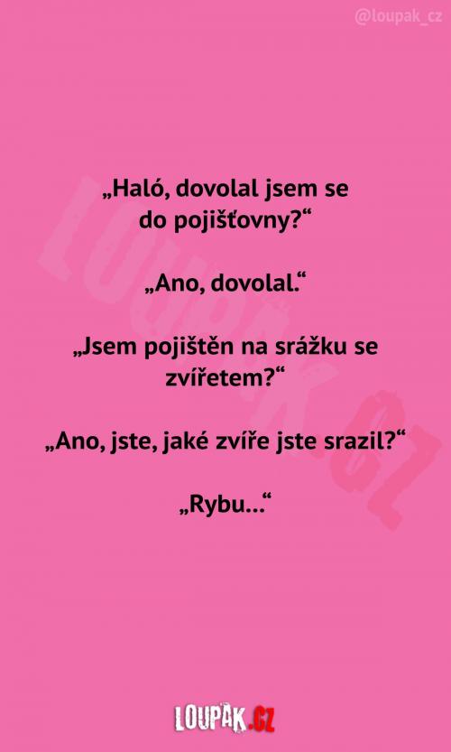  Dovolal jsem se 
do pojišťovny? 