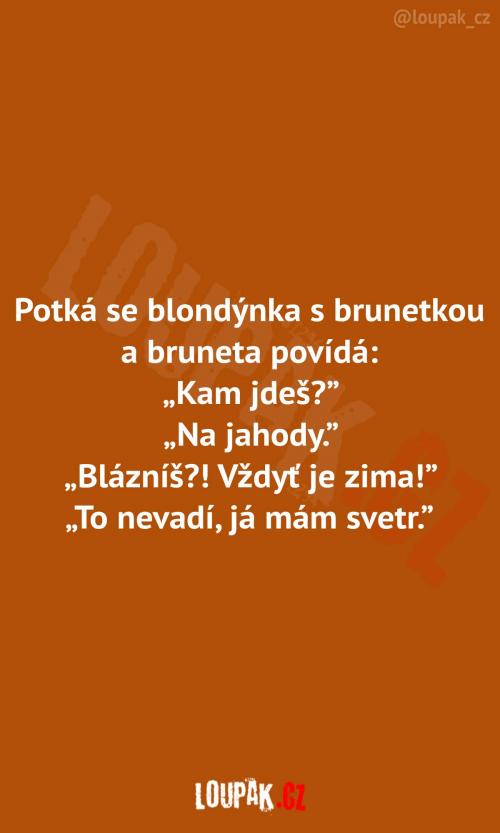  Blondýnka s brunetkou.. 