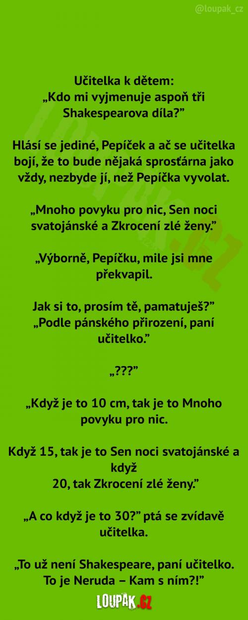 Učitelka ve škole... 