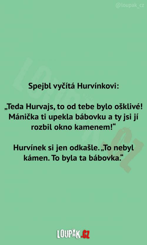 Spejbl vyčítá Hurvínkovi