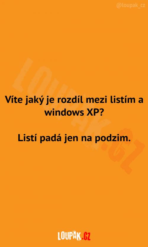 Listí vs. Windows XP 