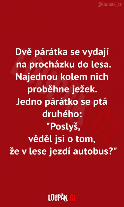  Párátka a jejich dobrodružství 