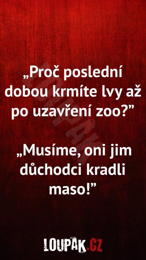  Proč poslední dobou krmíte lvy až po uzavření zoo 