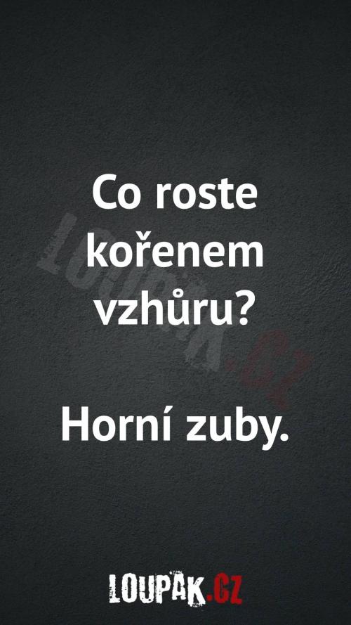  Co roste kořenem vzhůru 