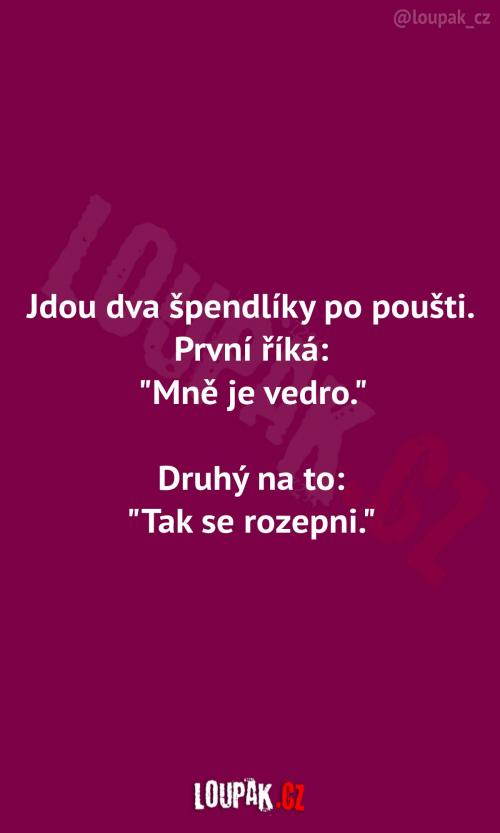  Dva špendlíky na poušti 